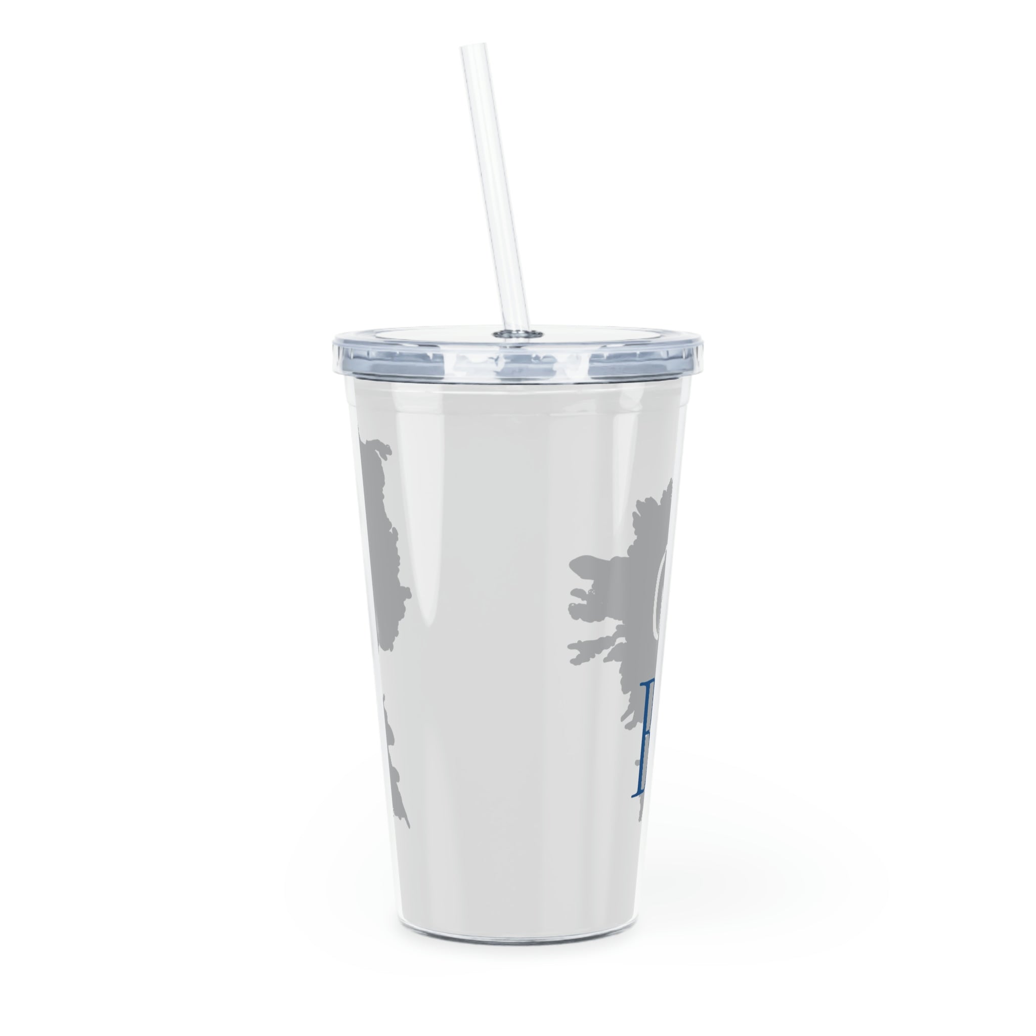 Plastic Tumbler with Straw